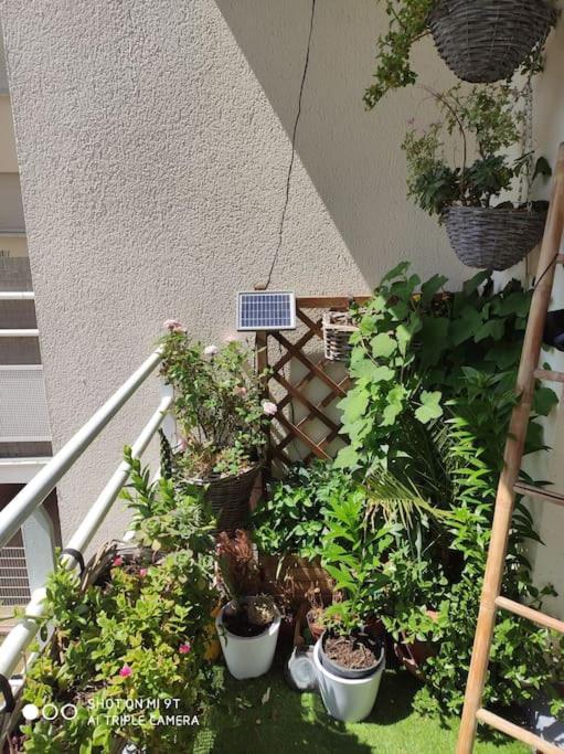 Appartement Cosy Et Calme Dugny المظهر الخارجي الصورة